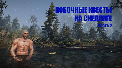 Ведьмак 3: Дикая Охота - "Ведьмак 3": Прохождение. Скеллиге. Дополнительные миссии, не связанные с основным сюжетом. Часть 2: Ард Скеллиг (продолжение) Ведьмак 3: Дикая Охота - "Ведьмак 3": Прохождение. Скеллиге. Дополнительные миссии, не связанные с основным сюжетом. Часть 2: Ард Скеллиг (продолжение)